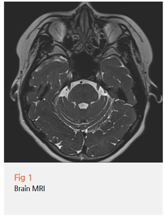 %EA%B7%B8%EB%A6%BC17.png?type=w966