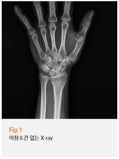 %EA%B7%B8%EB%A6%BC2.png?type=w966