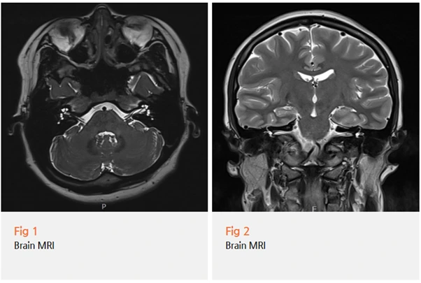 %EA%B7%B8%EB%A6%BC4.png?type=w966