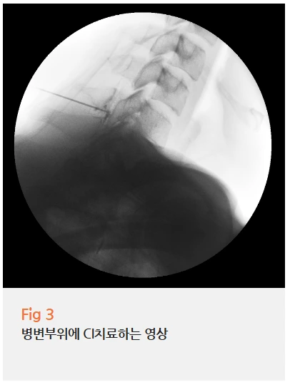 %EA%B7%B8%EB%A6%BC4.png?type=w966