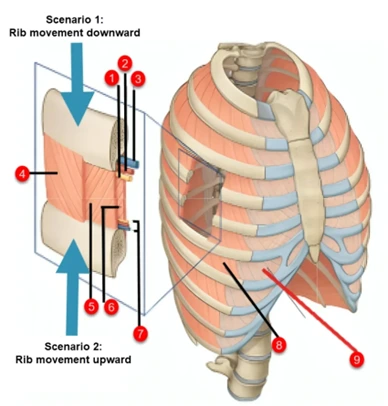 %EA%B7%B8%EB%A6%BC4.png?type=w966