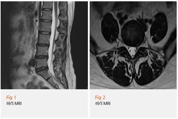 %EA%B7%B8%EB%A6%BC16.png?type=w966