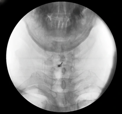 %EA%B7%B8%EB%A6%BC5.png?type=w966