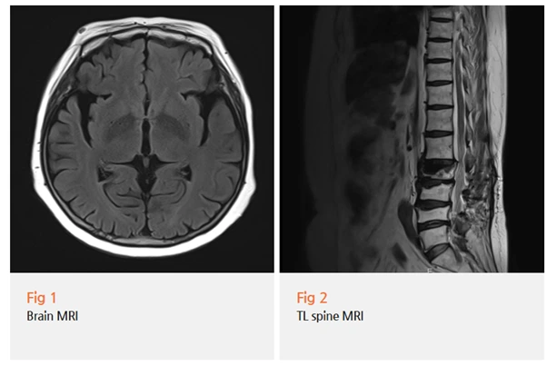 %EA%B7%B8%EB%A6%BC13.png?type=w966