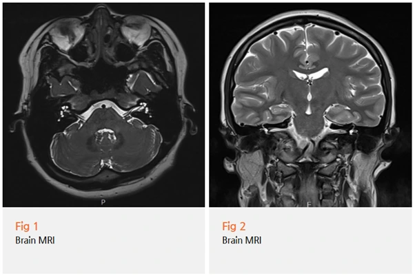 %EA%B7%B8%EB%A6%BC11.png?type=w966