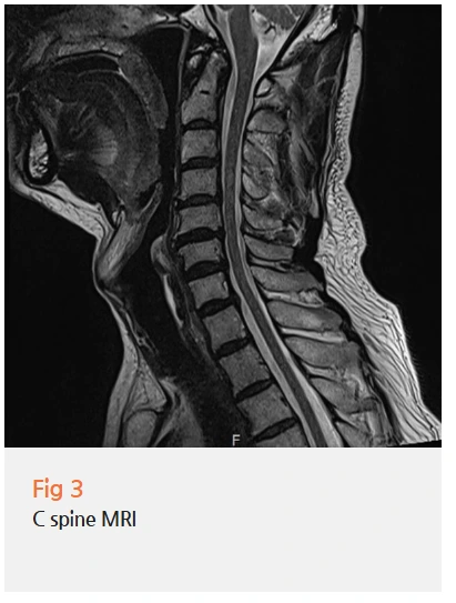 %EA%B7%B8%EB%A6%BC12.png?type=w966