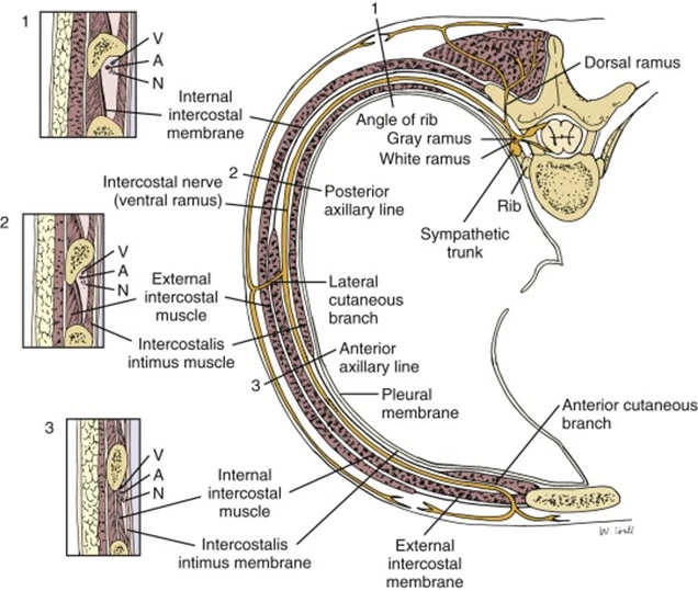 %EA%B7%B8%EB%A6%BC5.jpg?type=w966
