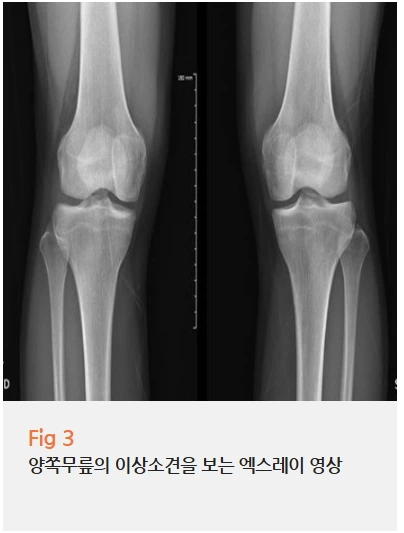 %EA%B7%B8%EB%A6%BC3.png?type=w966