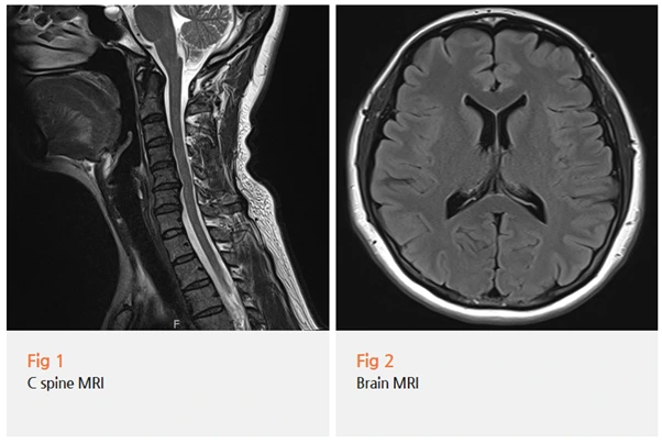 %EA%B7%B8%EB%A6%BC17.png?type=w966