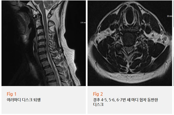 %EA%B7%B8%EB%A6%BC14.png?type=w966