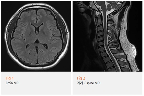 %EA%B7%B8%EB%A6%BC13.png?type=w966