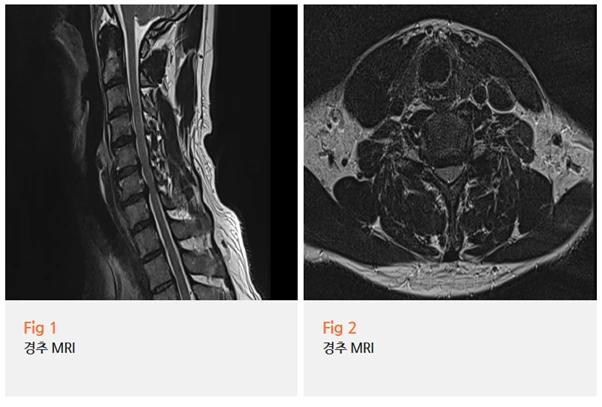 %EA%B7%B8%EB%A6%BC6.png?type=w966