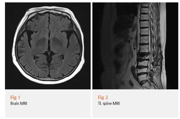 %EA%B7%B8%EB%A6%BC3.png?type=w966