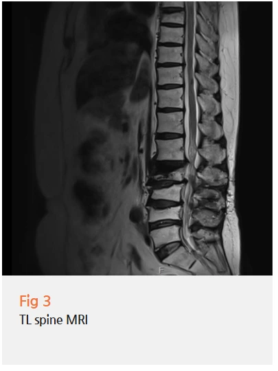 %EA%B7%B8%EB%A6%BC4.png?type=w966