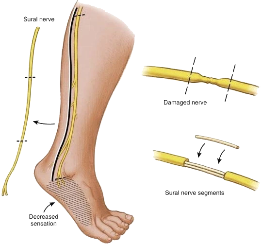 %EA%B7%B8%EB%A6%BC6.png?type=w966