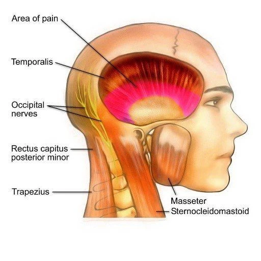 %EA%B7%B8%EB%A6%BC15.jpg?type=w966