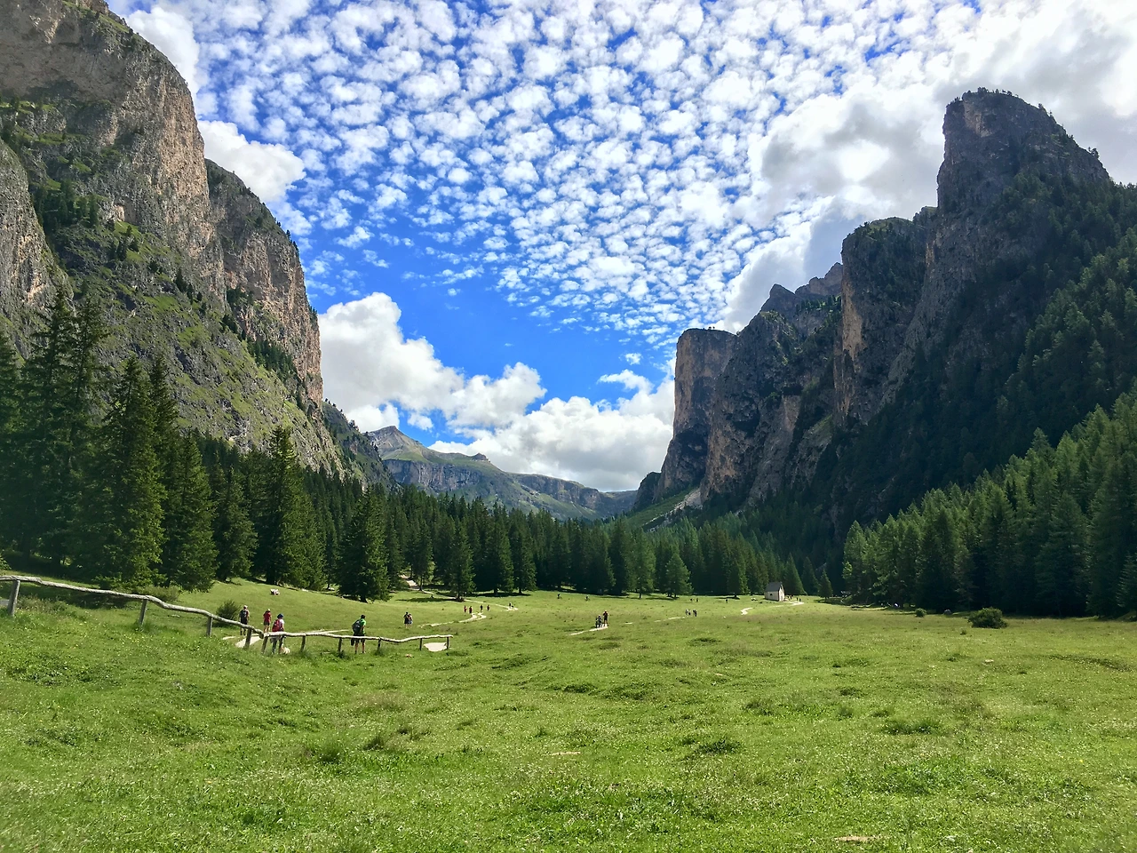 IMG_3421 (편집됨).JPG