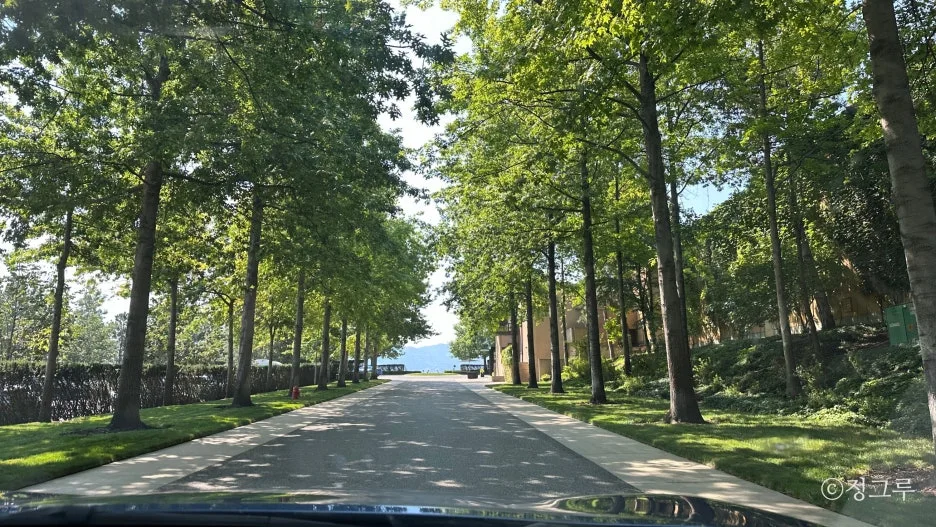 SE-0c6326b6-5e12-465e-916e-5e8408398f21.jpg?type=w1