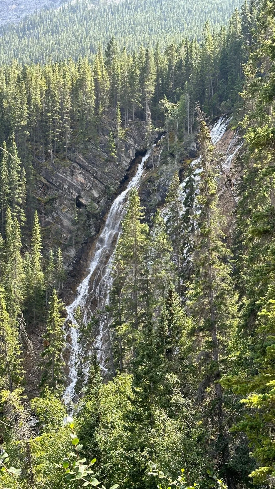 SE-509c8f7f-753e-4052-ae3f-e238c0e55f49.jpg?type=w1