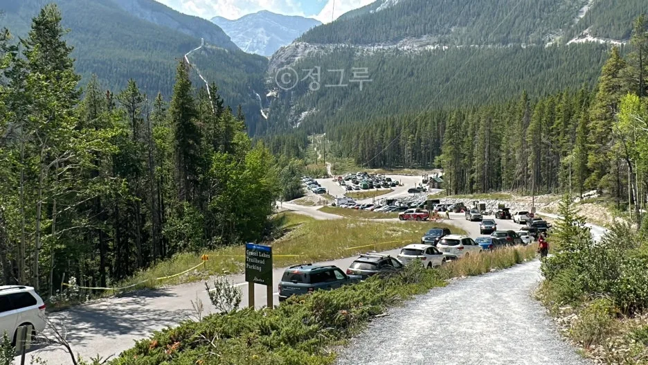 SE-d4f6cf50-8390-4166-901b-c693cc2e2f48.jpg?type=w1