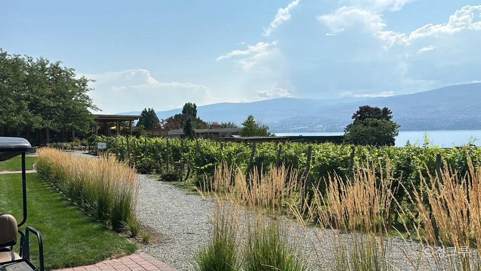 SE-2c348b0a-c3ef-451e-89e8-5b9e8d5065d5.jpg?type=w1