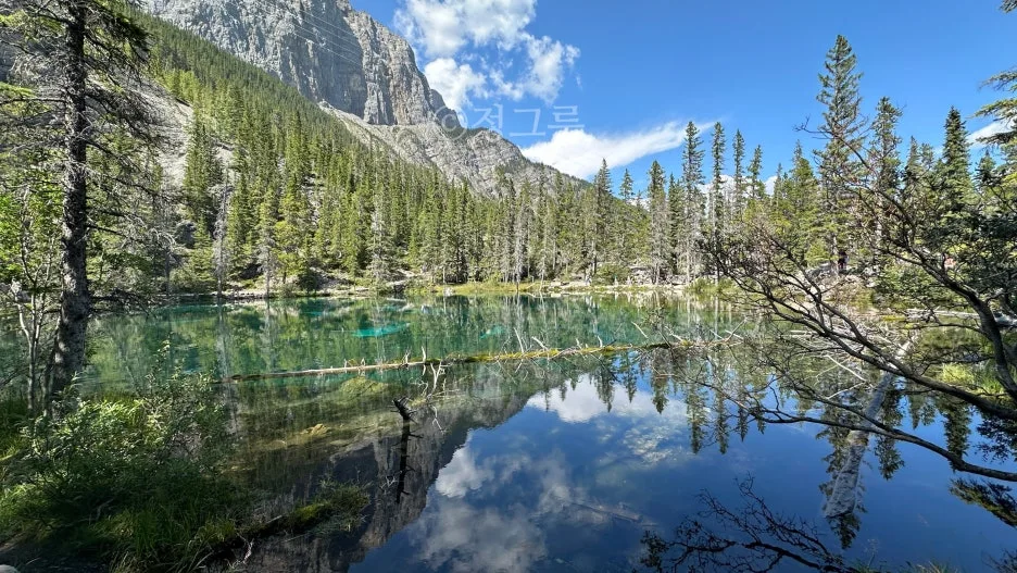 SE-cf776112-4a04-4f8f-8b04-f186da2a827f.jpg?type=w1