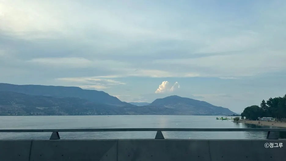 SE-7fb497b9-b55d-4e9c-94e9-7875b85cf8a6.jpg?type=w1