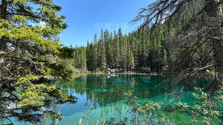 SE-3e0d5fd4-6298-47e4-838a-871548146cf2.jpg?type=w1