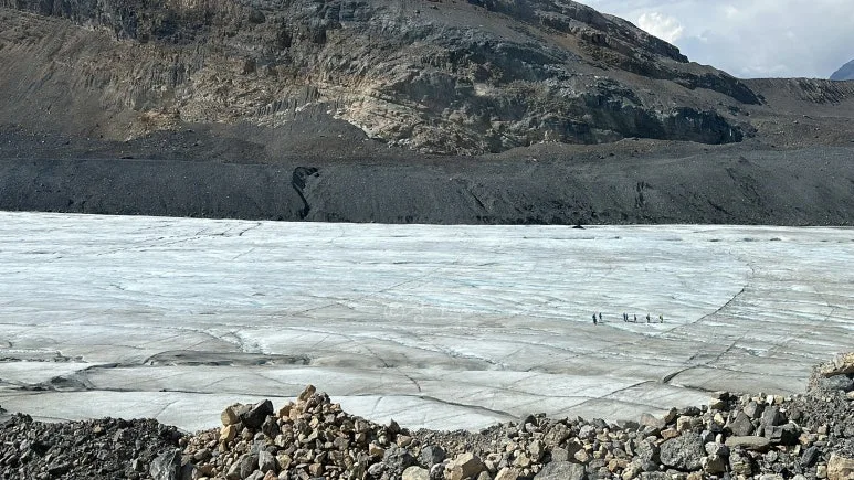 SE-1ee77415-b031-448d-a48c-c60872bca1b1.jpg?type=w773