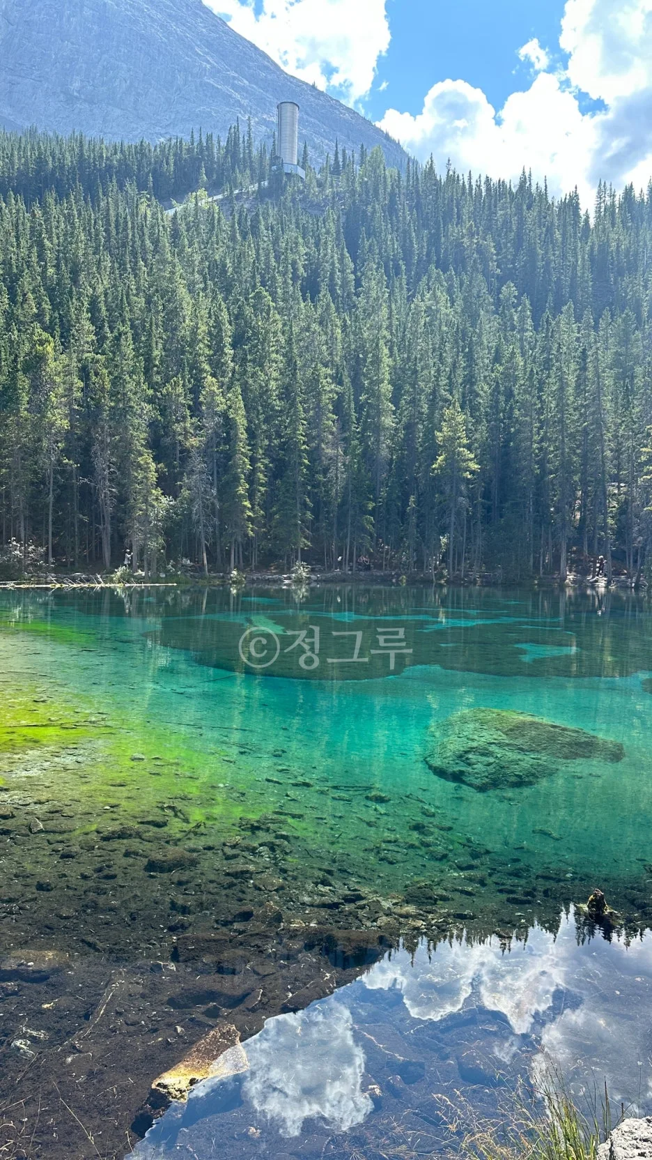 SE-828f6702-83af-4199-b5a9-45f9814c4647.jpg?type=w1