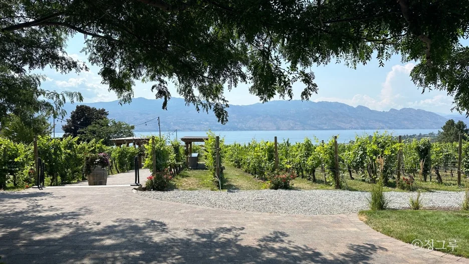 SE-6b43b32e-f637-47e6-a6d2-7bf38cb3a5ca.jpg?type=w1