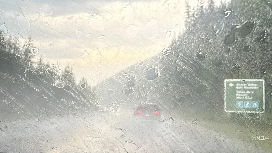 SE-d72dcc36-736b-48c0-948e-d8c03f049749.jpg?type=w1