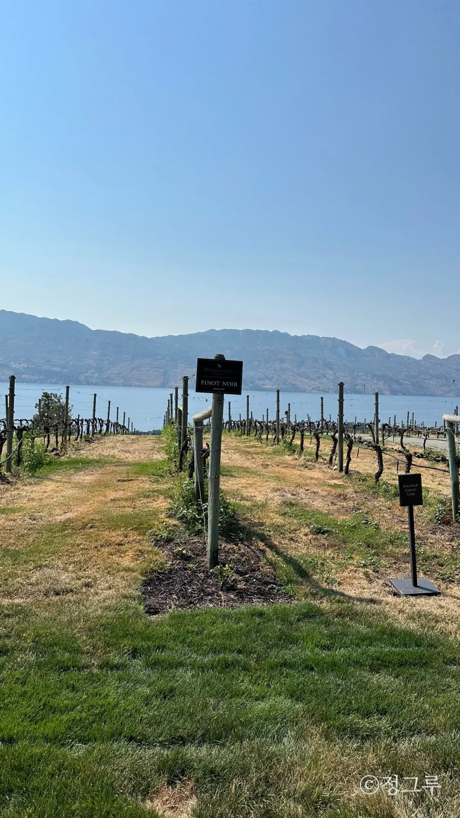 SE-779b1e6f-1b2b-4ff0-a5e0-2512b2e180ed.jpg?type=w1