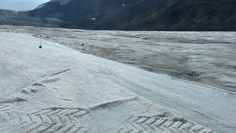 SE-6643ffbd-1877-4c30-b792-8786cf084493.jpg?type=w773