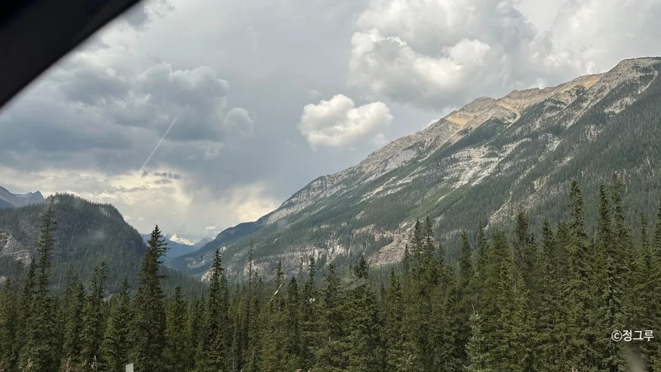 SE-125159b1-ccf5-4e65-9255-64850fc588eb.jpg?type=w1