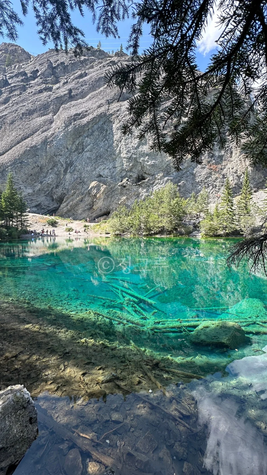 SE-482e786c-f443-41f5-a437-dd414fef92e5.jpg?type=w1