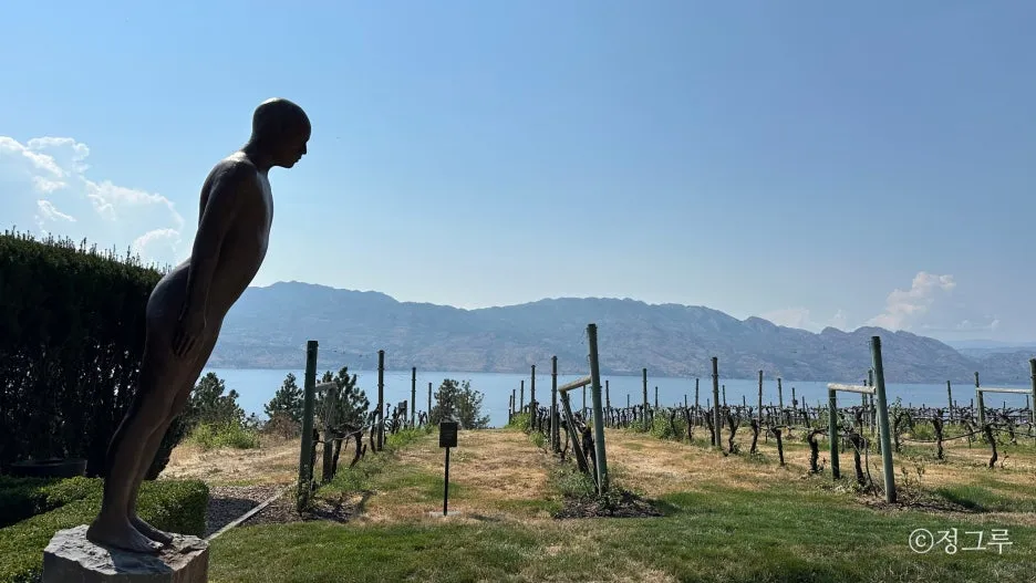 SE-b481973c-8e01-4aa2-bc3d-a4823e51477f.jpg?type=w1