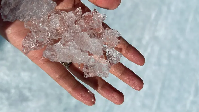 SE-7ca667fd-981b-4b57-b868-6ce5f3042fbd.jpg?type=w773