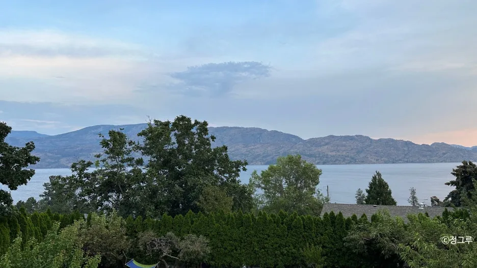 SE-cd67f2e6-2740-4aa9-b25e-132cacb8c16b.jpg?type=w1