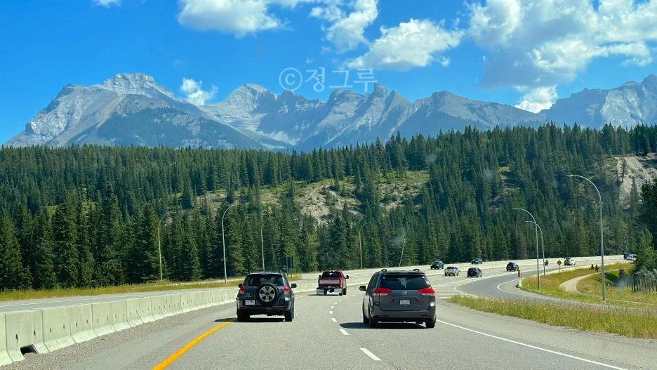 SE-a931e86a-1786-493e-b39e-37ca74292499.jpg?type=w1