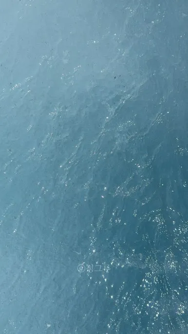 SE-027298a1-bf36-4391-be93-7d99e6999025.jpg?type=w386