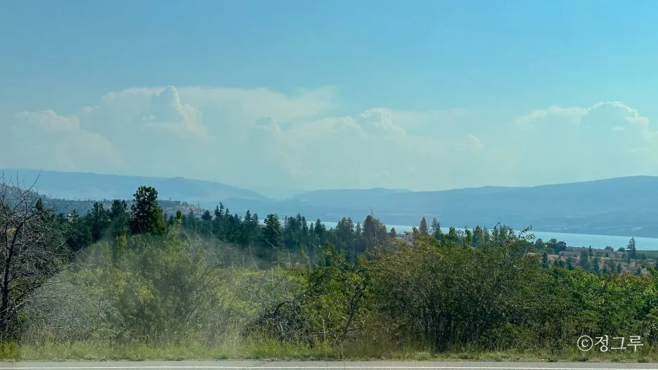 SE-d1d3a59e-dda9-47be-87f7-38e96916ee2f.jpg?type=w1