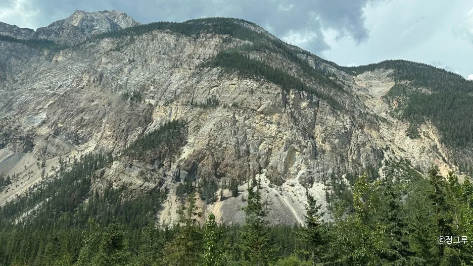 SE-6980a602-cbd3-4b07-bb2b-2186e5c2f0af.jpg?type=w1