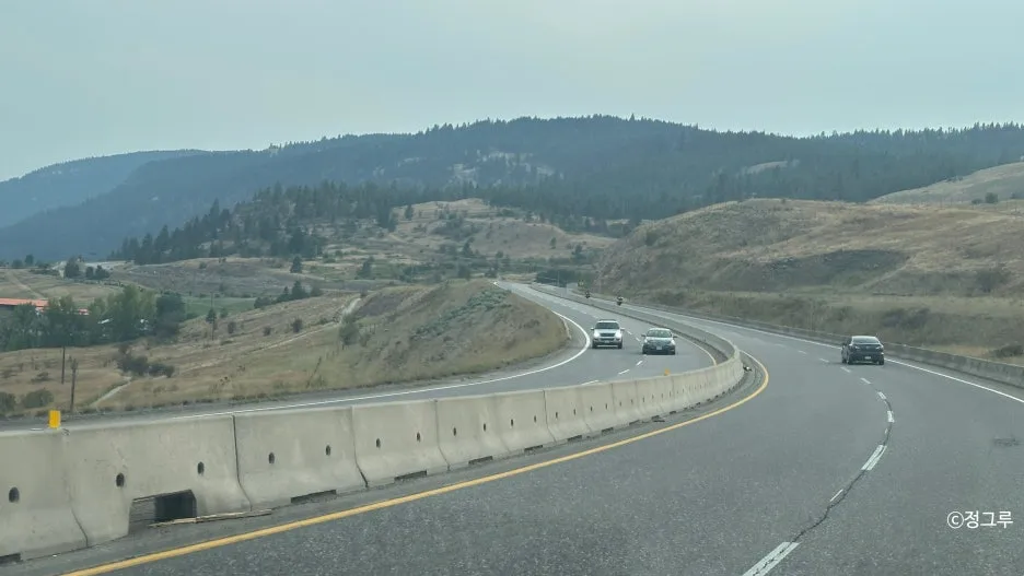 SE-fb3e4455-9879-4109-bca4-1f1561e11e24.jpg?type=w1