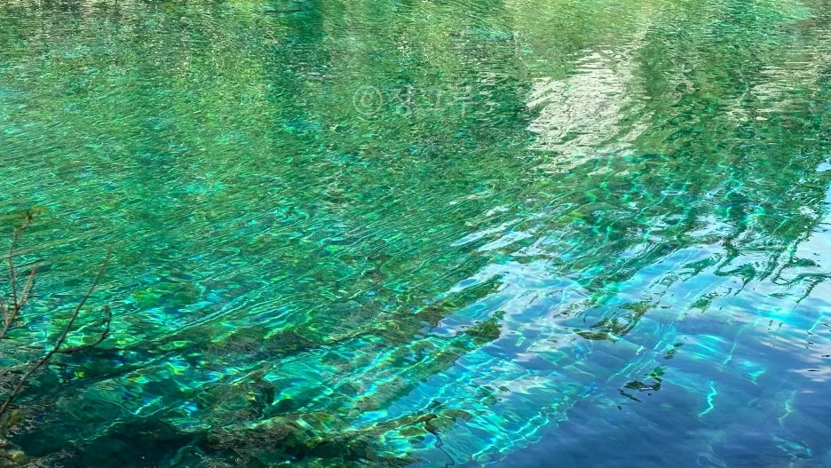 SE-d48a0d24-0bfc-4c53-9b86-c3887441e79e.jpg?type=w1