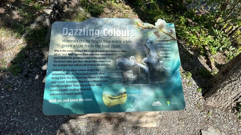 SE-e0022ff5-3bc8-4799-a28d-44aa18c6d4b6.jpg?type=w1