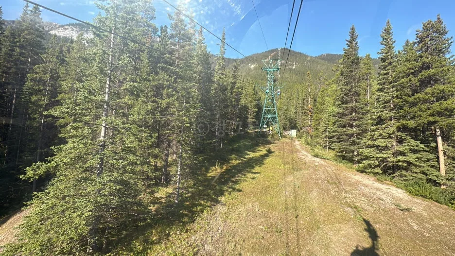 SE-090abc8d-a282-4d3b-a076-e629796ae2ad.jpg?type=w1