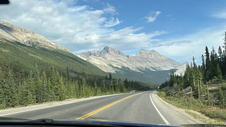 SE-c3eef2e6-6e68-49ac-98d6-cf41b6f58050.jpg?type=w773