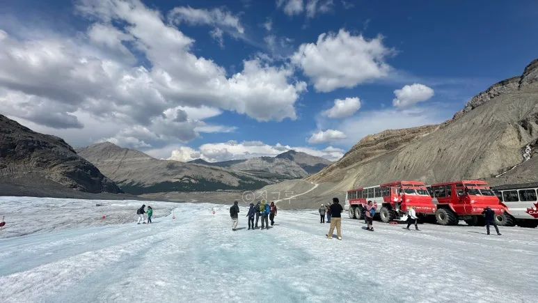 SE-c14ca15a-008f-4cb5-baa6-c7c82f79e102.jpg?type=w773