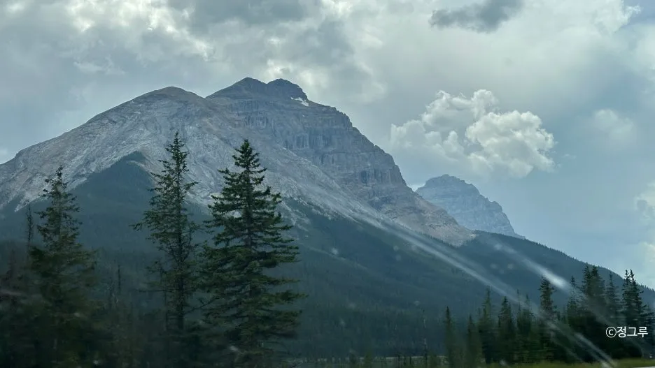 SE-8cbfd3ee-b69e-4c0b-83d0-8d274b681139.jpg?type=w1